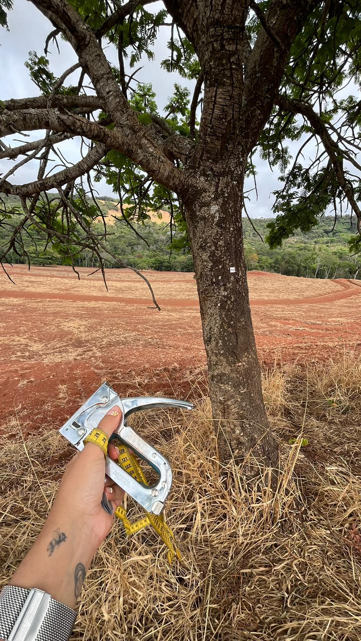 Serviço Ambiental 1